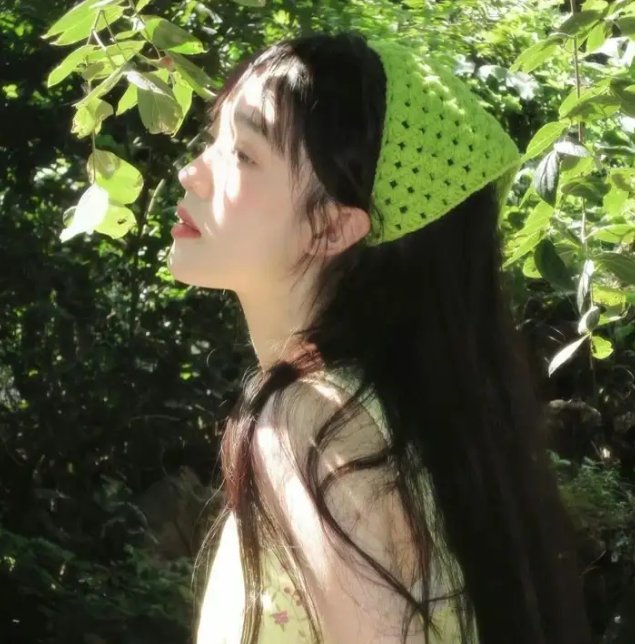 寻找特洛伊
